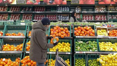 صورة «فاو»: تراجع طفيف في أسعار الغذاء العالمية خلال أبريل