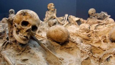 صورة “اكتشاف ثوري” داخل جمجمة محنطة قبل 2000 عام