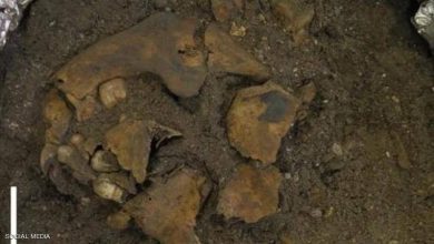 صورة اكتشاف مخيف يعود لـ8 آلاف عام.. طفل مقطوع الأوصال